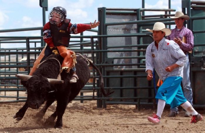 Mini Bull Riding